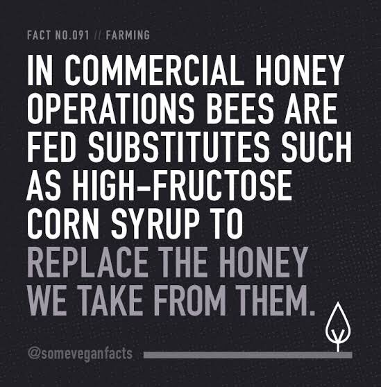 DrNavhya's tweet photo. Yes !! Do you know what is HFCS?? Its more damaging then anything you know... join my space @DrNavhya today at 3 PM to beat HFCS!! https://t.co/N1nUSgb6iQ