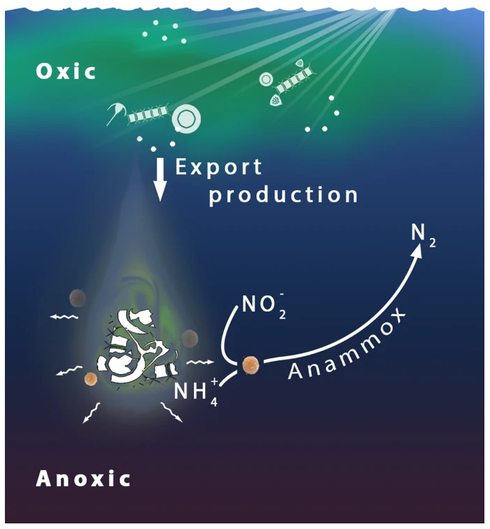 Soeren Ahmerkamp tweet media