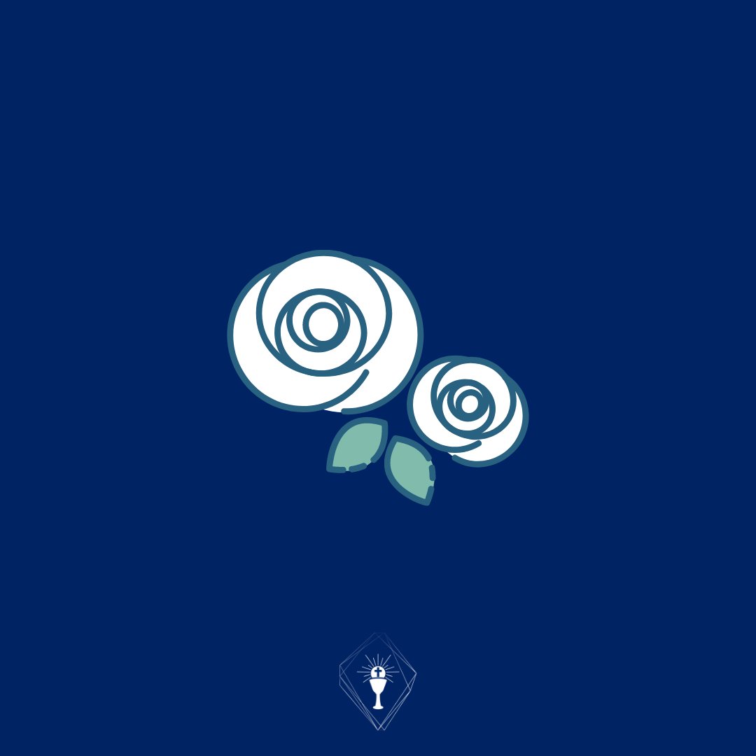 allcatechists's tweet photo. The word Rosary means “Crown of Roses” that is to say that every time people say the Rosary devoutly they place a crown of one hundred and fifty-three red roses and sixteen white roses upon the heads of Jesus and Mary.
// St. Louis de Montfort https://t.co/5vutVH41P6