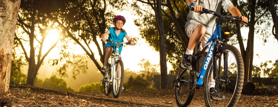 Phoenix Cycles are a specialist independent family run cycle shop in Eastbourne. They offer deals on a superb range of top bikes and cycle accessories.  They can also service your bikes in their workshop. Visit their website to view their bikes zcu.io/6Nhc