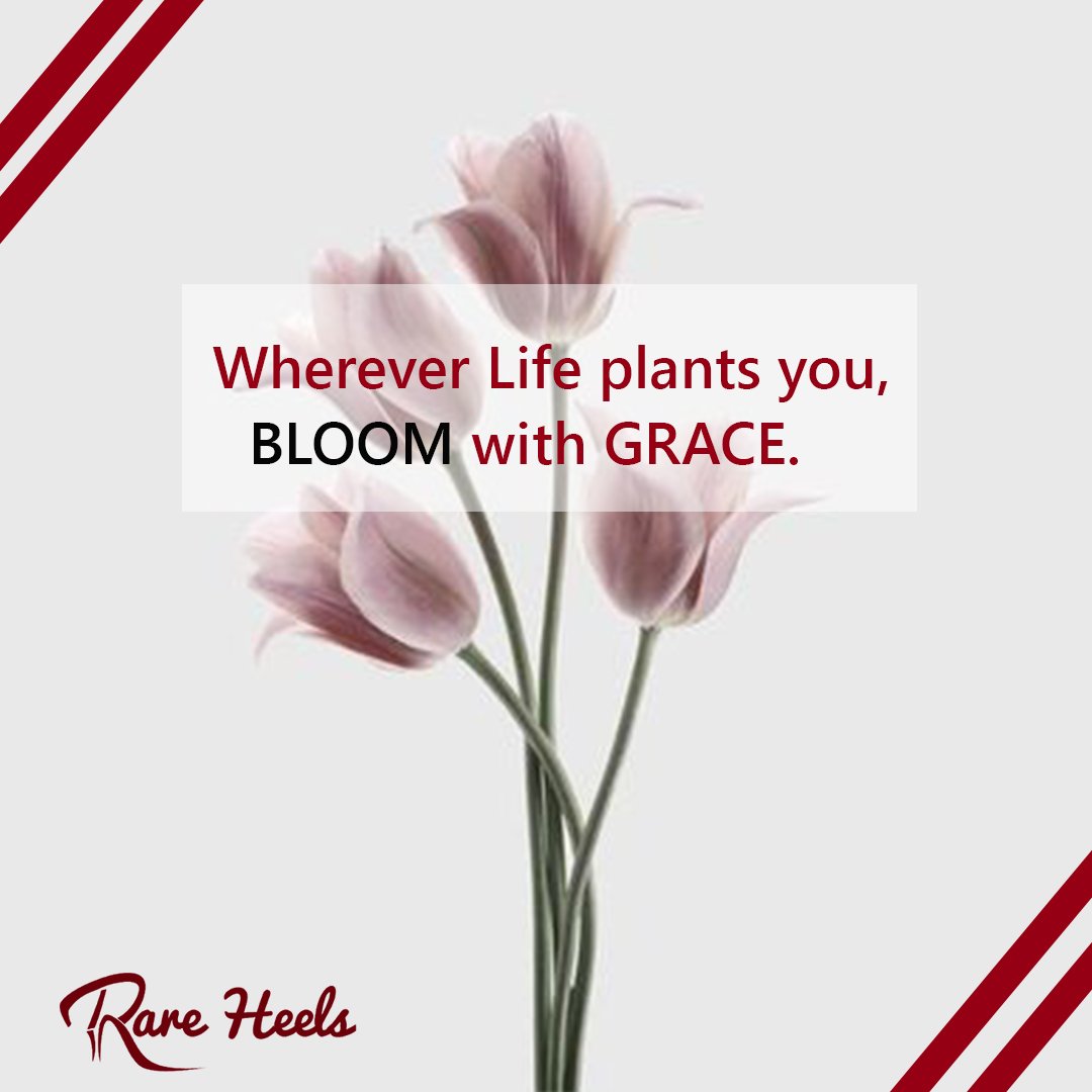 rareheels's tweet photo. Lines will fall for us in pleasant places 🙏 whatsoever we lay our hands will prosper in this new week &amp; beyond🙏We affirm that the grace of God is sufficient for us all, Amen🙏🙏🙏
.
#rareheels #mondaymotivation #mondayaffirmation #shoeshop #workshoes #pumps #ladiesshoes https://t.co/yaMa5TLxGX