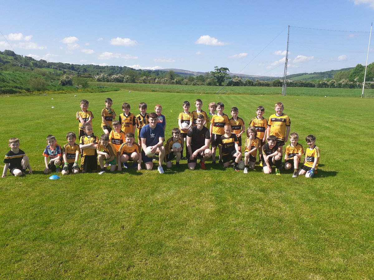 John Haran tweet media