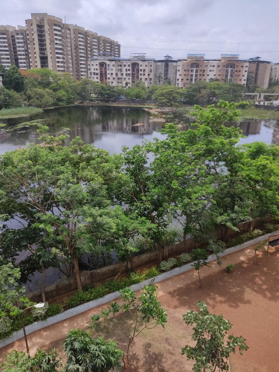 Fearless_f's tweet photo. below is the pic of the water collected behind Mahada Society, Shanti Garden after the Cyclone Tauktae, it has now become a breeding ground for Mosquitoes and insects. Request you to pls spray pesticides here before people in the locality are infected with malaria @BhayandarMira https://t.co/e0ctB3KitP