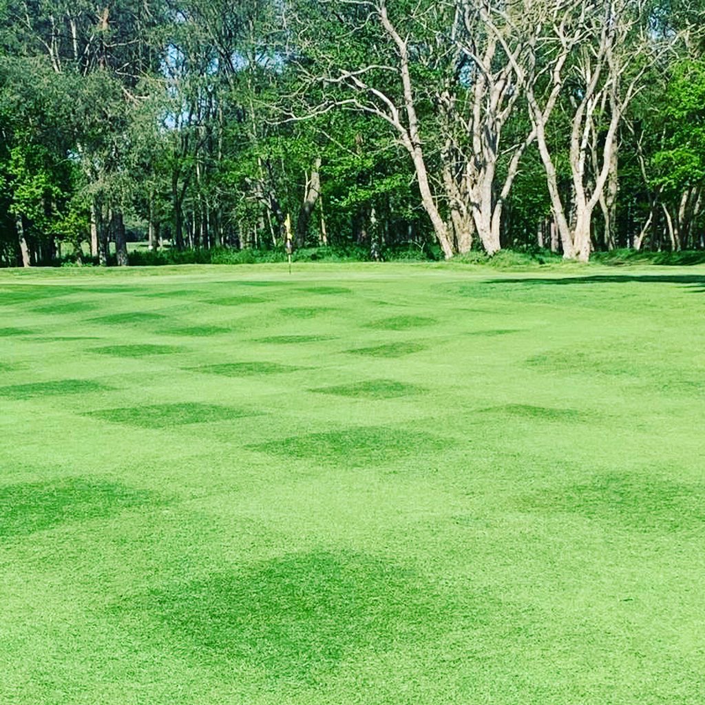 ArmyGC's tweet photo. The greens and fairways are looking extra fresh for a big week of England Golf coming up at the #ArmyGC ⛳️🌿🌱 #EnglandGolf #Fairways #Greenkeepers #Competition https://t.co/NEmHPBsHwz