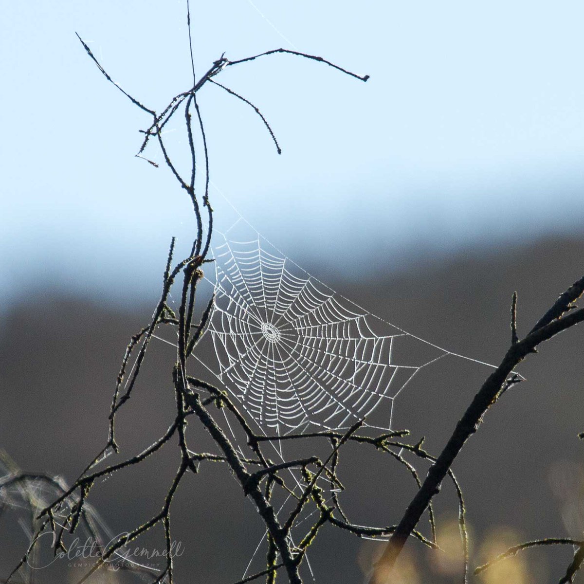 BBCreativeHub's tweet photo. An early morning up Lough an Leagh...
Photos: Colette Gemmell
What we see through our eyes or feel through our other senses can feed our creativity. Luckily in Co. Cavan we don't need to go far to find inspiration. Get inspired by your County #ThinkitCreateitShareit https://t.co/xpjee41qe8