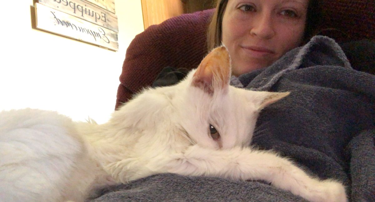 chelsae_marie's tweet photo. Saying goodbye is never easy 💔🐾 https://t.co/LGVVeekiD1