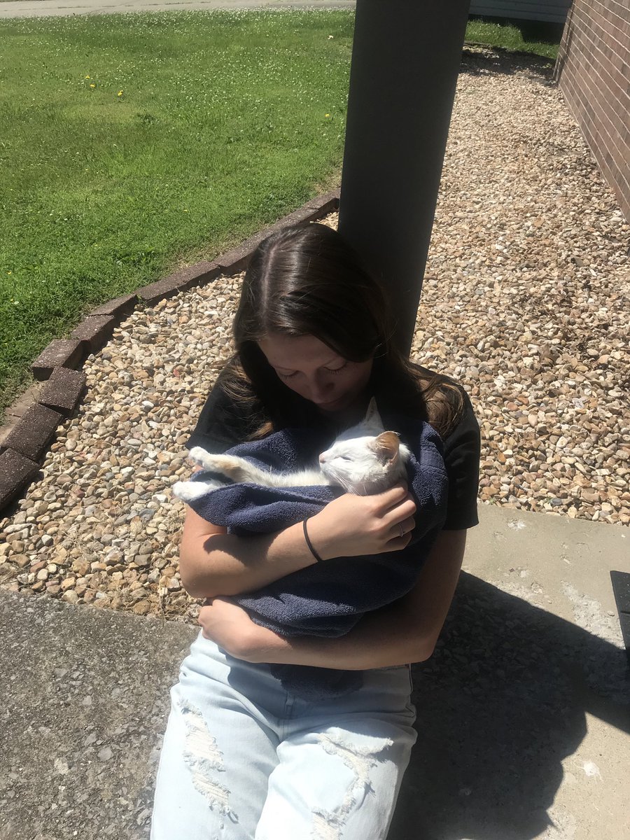 chelsae_marie's tweet photo. Saying goodbye is never easy 💔🐾 https://t.co/LGVVeekiD1