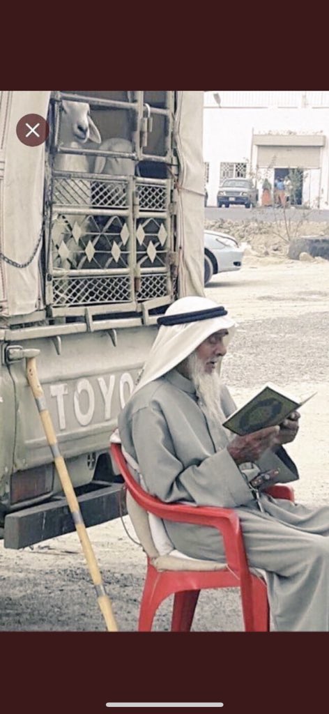 يازينها من صــورةٍ تشـرح البــال
صورتك ياشيخٍ معك جلب فـ السوق
.
مصحفك في يمنــاك ياطيب الفـال
ولسان حالك: كل مطــرود ملحــوق