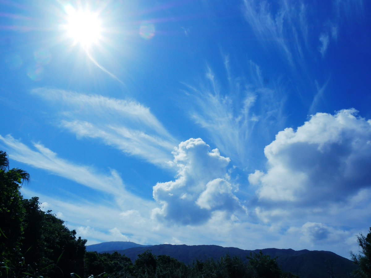 八丈島 飛行機 欠航率 八丈島 飛行機 欠航率