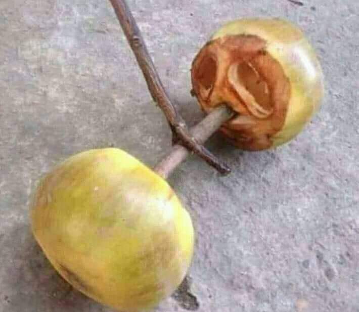 Ariful Haque Lemon tweet media