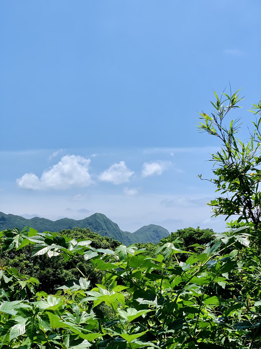 八丈島 飛行機 欠航率 八丈島 飛行機 欠航率