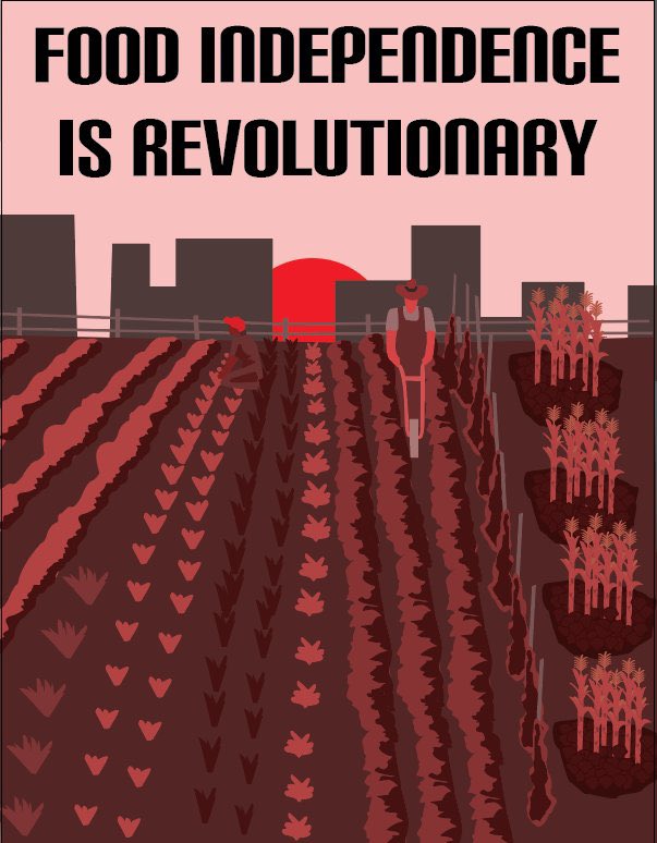 AtlasWorked's tweet photo. @conspiracyb0t #communityfarms is the way https://t.co/rQ0DXVfDdW