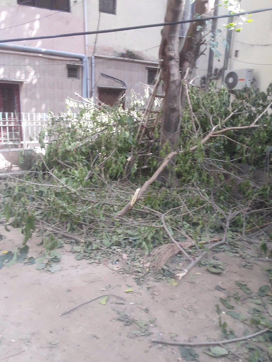 DeepaliAggarwa's tweet photo. @dm_northwest
A  majorpart of a tree within a small public park having located at pkt. -B-6,Sector-4, DDA Complex, Rohini, Delhi-85 has been cutted illegally on 29-05-21 whch cn be verified even at this moment also. It isprtnt to mention thr is a CCTV also footage can be checked https://t.co/RU2gncwHLK