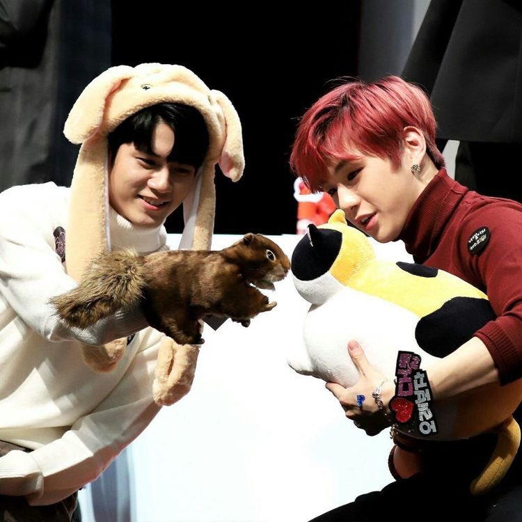 NuuGuSeYONGE's tweet photo. @ongmynyel #HAPPY_HAPJUNG_DAY
#Happy_Hapjeong_Day
#HAPPY_SCIENCE_DAY
#OngnielisScience 💜🧡 https://t.co/lxNeTqJarG