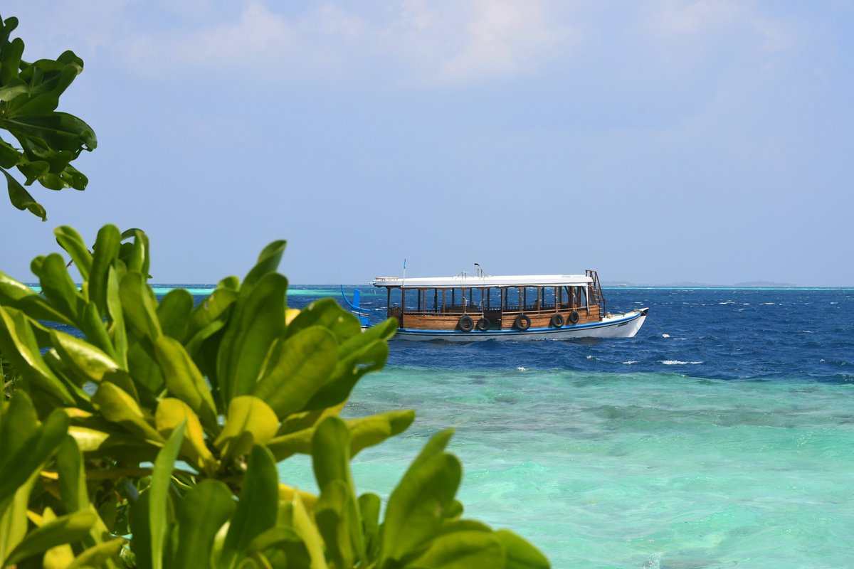 MaldiwaDV's tweet photo. We cannot cross the ocean if we are afraid of losing sight of the shore. Once you see the ocean of the Maldives, you will miss it all your life.
#maldives #maldiwa #мальдивы #море #sea #дхони #дони #dhoni #природамальдив #naturemaldives #лодкамальдивы #boatmaldives #волны #waves https://t.co/utdAAviPHu