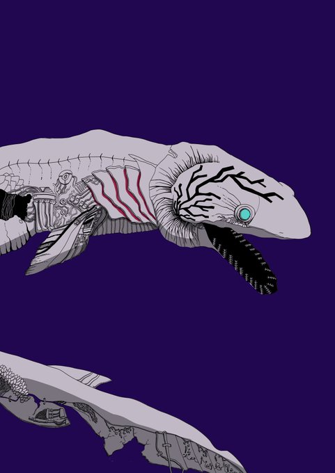 ラブカのtwitterイラスト検索結果 ラブカのtwitterイラスト検索結果