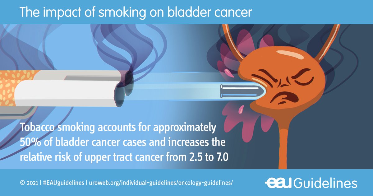 Our message for #WorldNoTobaccoDay.

⚡Tobacco smoking is the most important risk factor for bladder cancer and upper urinary tract cancer. 

Please, Quit Smoking! 

#bladdercancer #utuc #WNTD2021 #eauguidelines