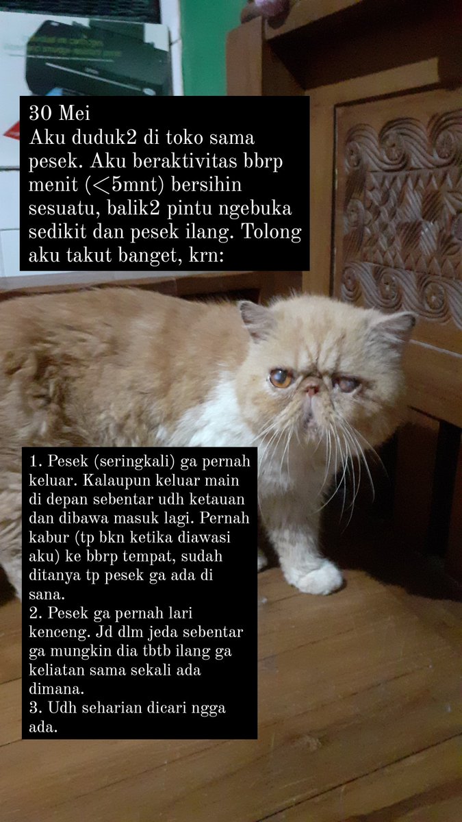 miniiiiil's tweet photo. Boleh minta tolong share? https://t.co/IE2tDwLmi7