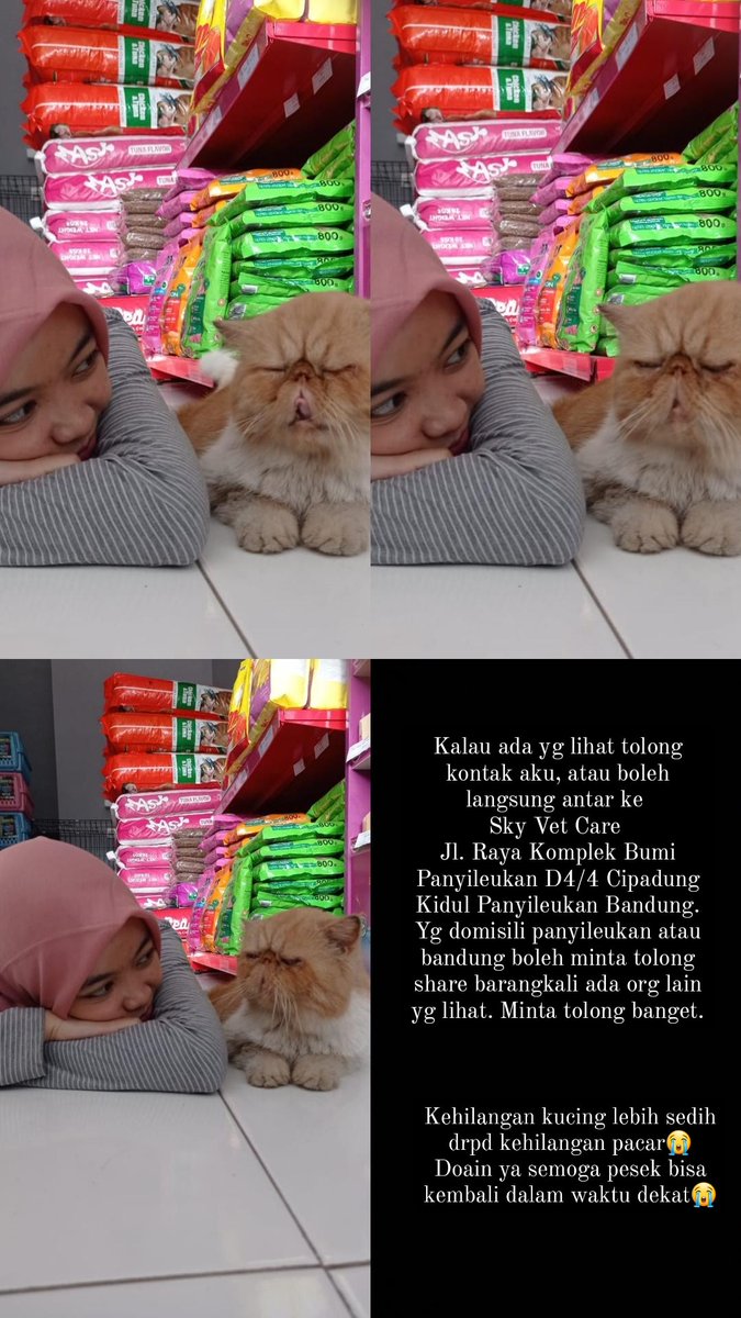 miniiiiil's tweet photo. Boleh minta tolong share? https://t.co/IE2tDwLmi7