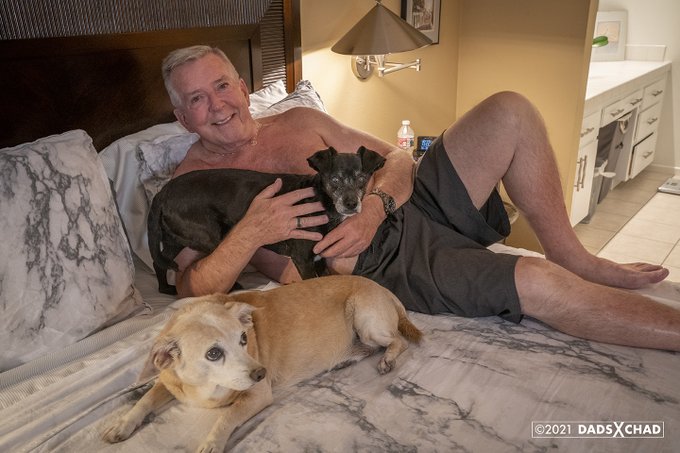 A lazy Memorial Day Week-end with ‘the kids’, Gizmo in front, Ivy in back.

#dogdad #rescuedogs #adoptdontshop