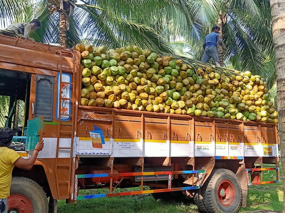 cocopunch (@cocopunch7) / X