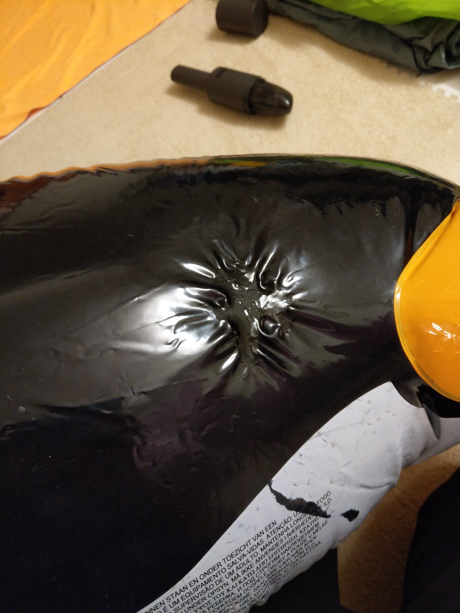 Simon Fish Inflating InflatableSean_AD (@inflatableSimon) | Twitter
