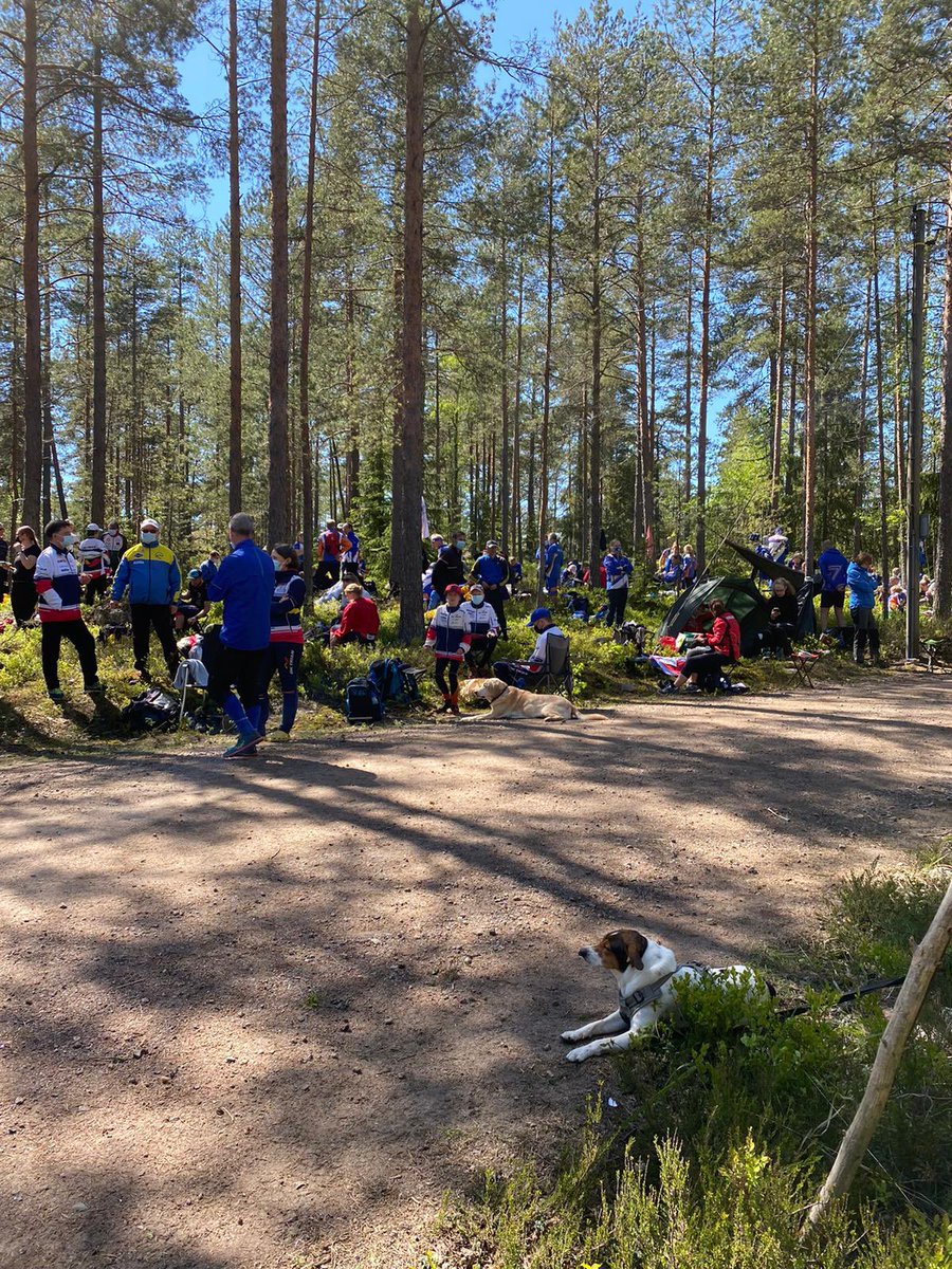 NÅID2021-loppet är bakom oss, fantastiskt att se entusiasmen för orientering. Tackar <a href="/OKRaseborg/">OK Raseborg</a> <a href="/Ok77orientering/">OK 77</a> <a href="/OKTrianFIN/">OK Trian</a> <a href="/PargasIF/">Pargas IF</a> idrottare och arrangörer👍