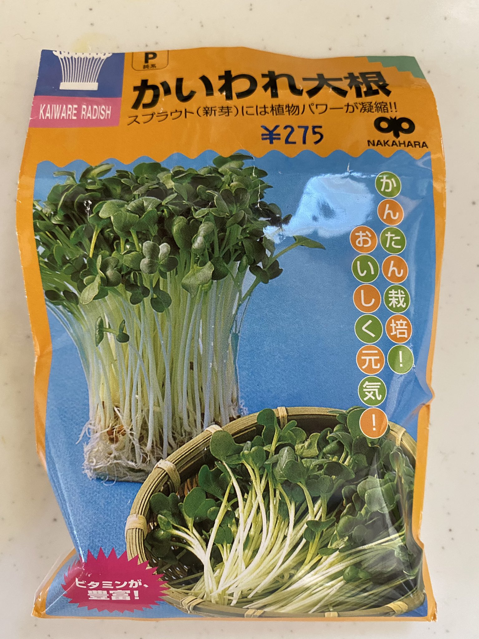かいわれ大根栽培 Twitter Search Twitter