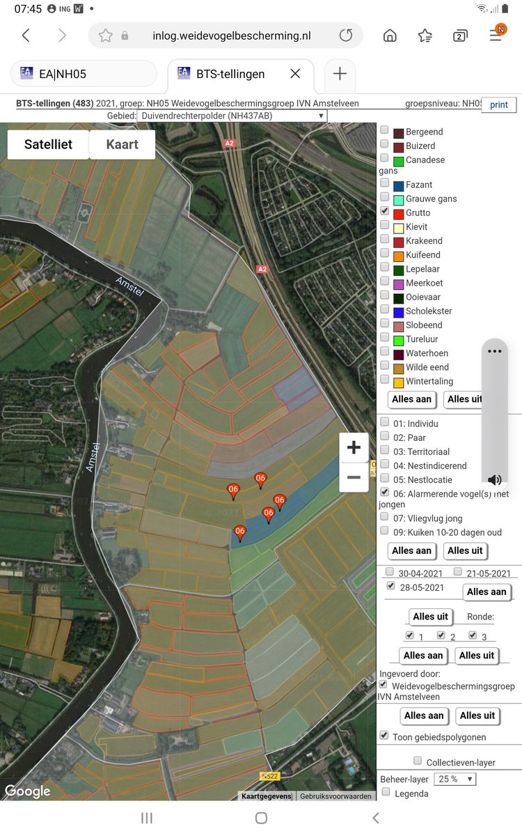 Vrijdag Duivendrechtse polder geteld: slechts 5 gruttogezinnen. Predatie door vos, maar ook andere zoals hermelijn en zwarte kraai. Het beheer op 28 mei: 4 p greppel plasdras, kruidenrijke percelen, (voor)beweide percelen en NUL percelen gemaaid.  Predatiebeheer onvermijdelijk!