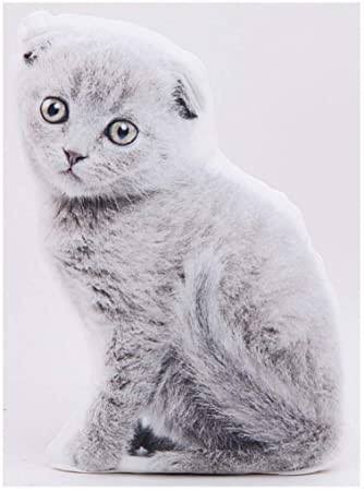 ねこしっぽ Hashtag On Twitter