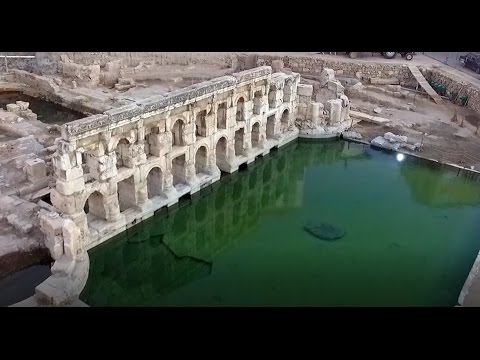 Yeni güne, yeni haftaya Bismillah…

Yeni günümüz ve yeni  haftamız sağlık, huzur, bereket ve güzellik getirsin. 

#HayırlıHaftalar
#Yozgat #Pazartesi

(Foto:Sarıkaya Roma Hamamı)