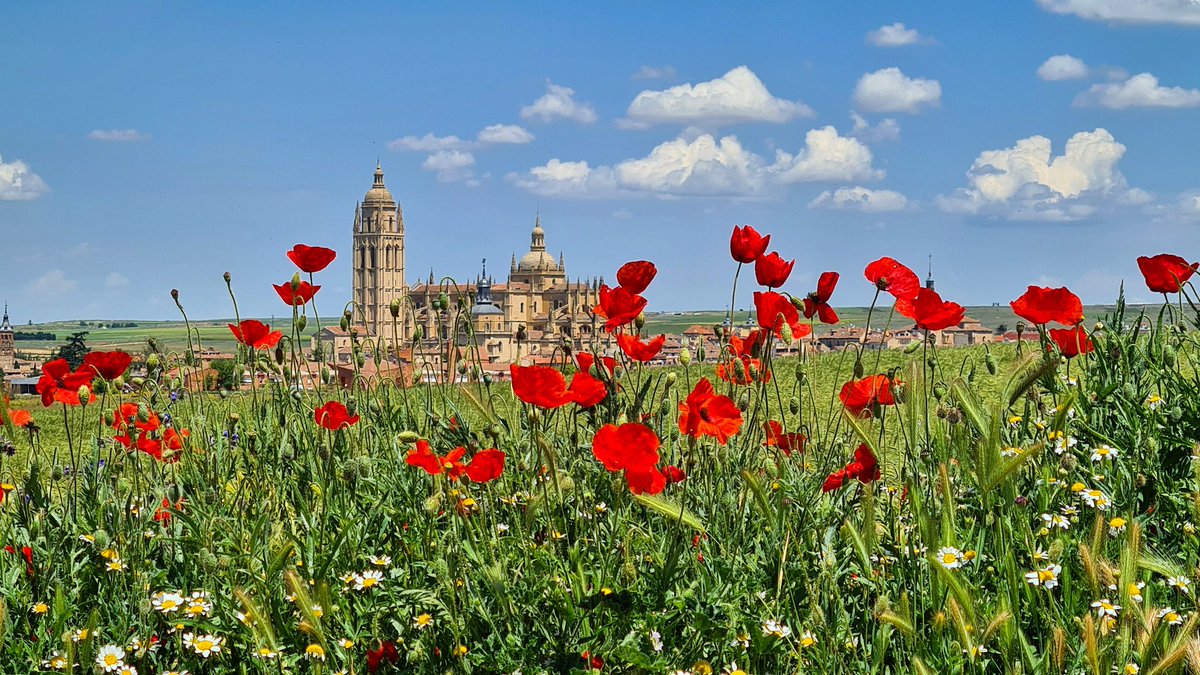 Alberto HERRERO tweet media