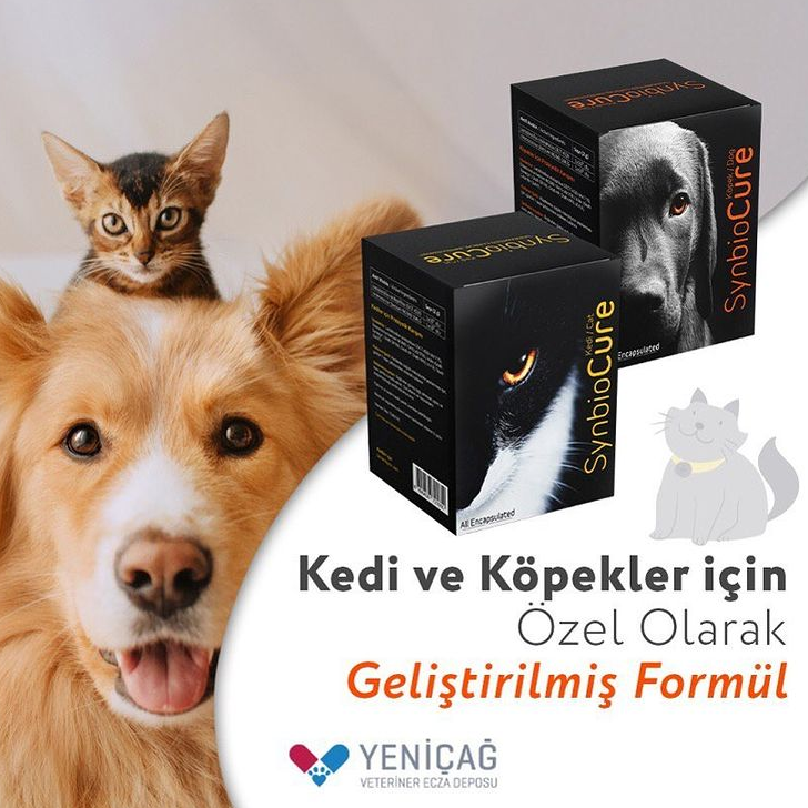 yenicagecza's tweet photo. SynbioCure, Yeniçağ Ecza Deposu ve Profarge işbirliği ile alanında uzman bilim insanları tarafından geliştirilen özel bir üründür. #yeniçağveterinereczadeposu #bağışıklıksistemi #veterinerhekim #veterinerkliniği #hayvansağlığı #synbiocure #sinbiyotik #probiyotik #prebiyotik https://t.co/KlHEo52fj1