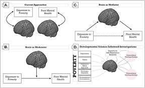 Neurops38503047's tweet image. The study of how the brain enables the mind is known as #cognitive_neuroscience. Brain science is the study of how individual neurons work together to build the complex neural structures that make up the human brain.