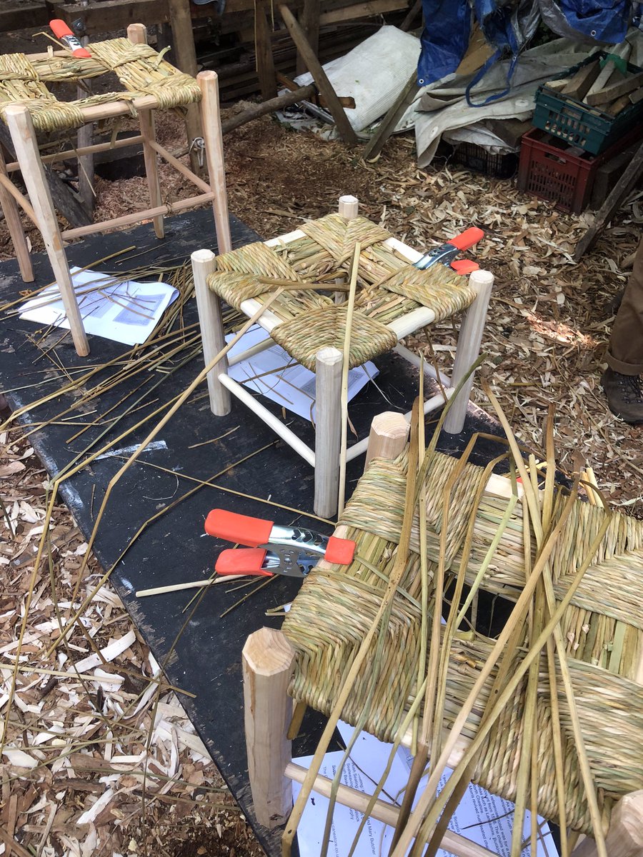 south_rachael's tweet photo. A lovely day with London Greenwood teaching rush seating, everyone had made a stool to weave with wonderful results!! #rushseating #rushchair #greenwoodworking #nativeplants @hackneycityfarm https://t.co/X71LuwYWdx