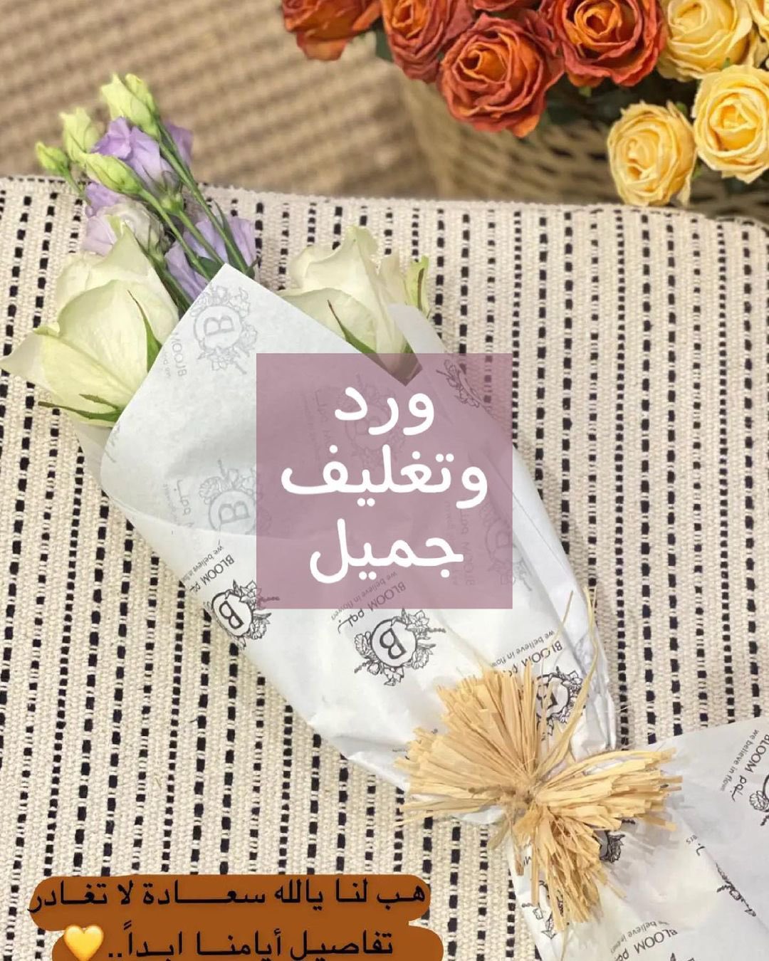 ورود الجبيل twitter search twitter
