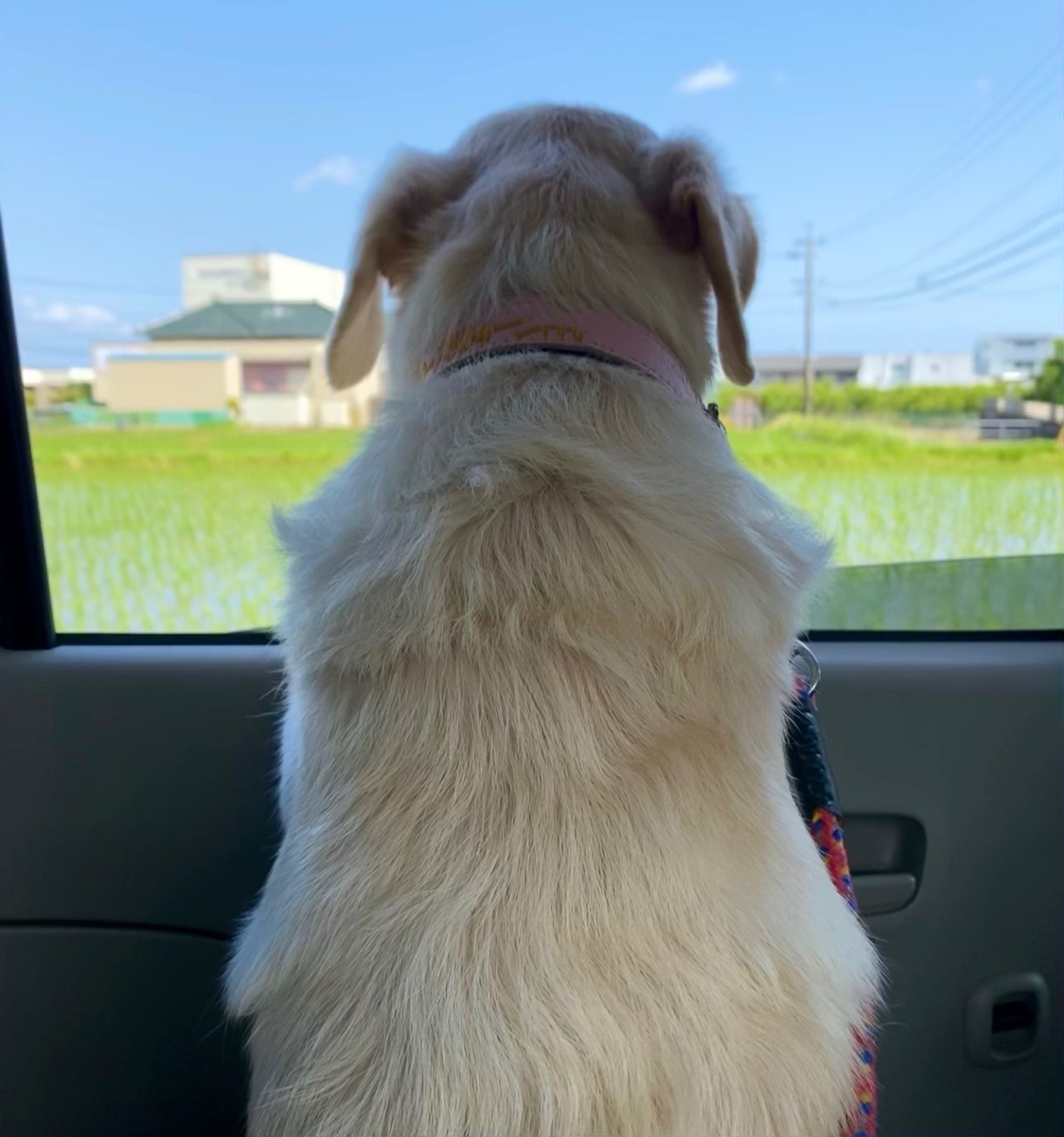 さこ Sako Ki Twitter