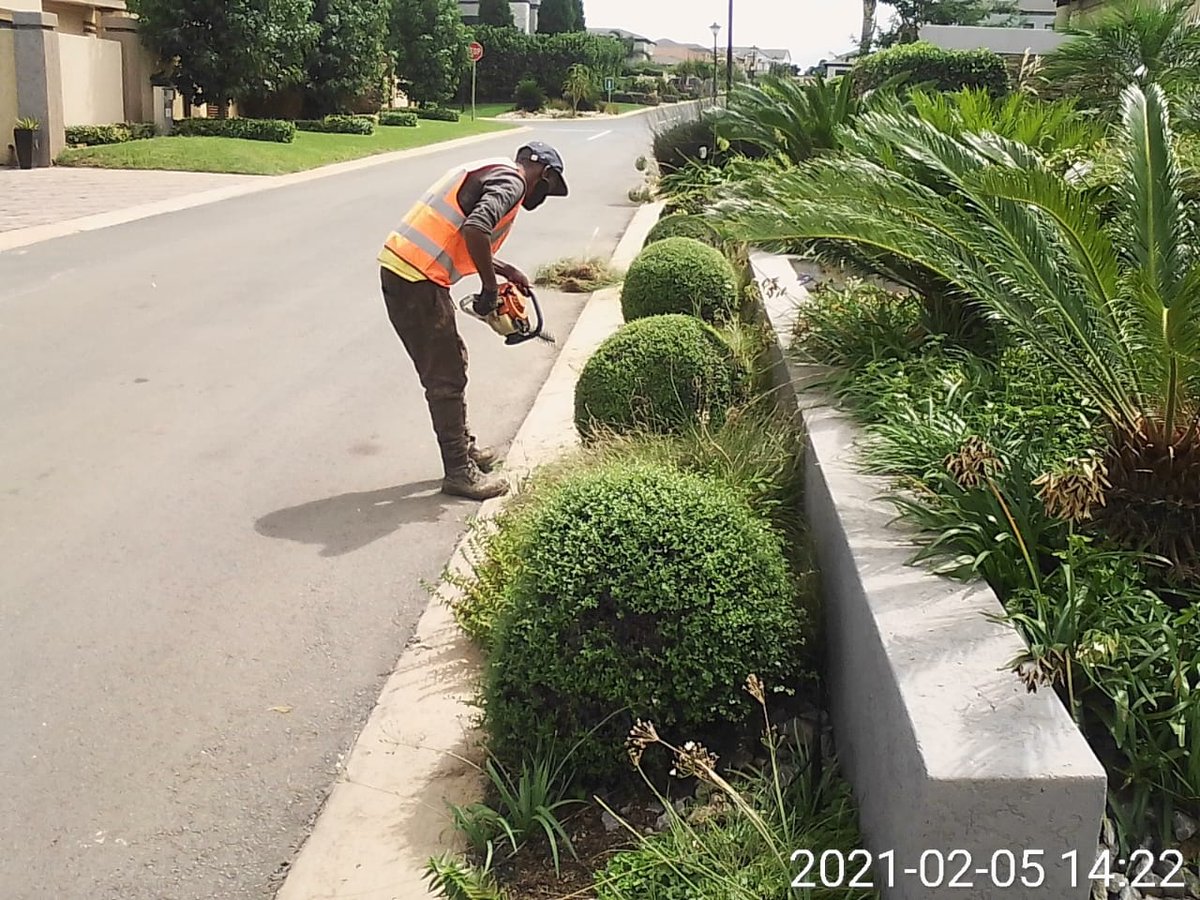 RonewaCreations's tweet photo. Excellence is one of our values.
Whenever we miss the mark we always admit and strive to do better!

#GardenMaintenance #RonewaCreations
Johannesburg Residents only.
0730123835 or 0836753842 https://t.co/RPCWTjDozy