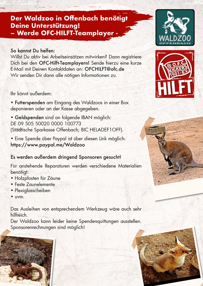 OFC_offiziell's tweet photo. #OFCHilft dem Offenbacher Waldzoo!
ℹ️ https://t.co/FudNEMtE5v
#kultsindwir #nurderOFC https://t.co/jzv2q0234b