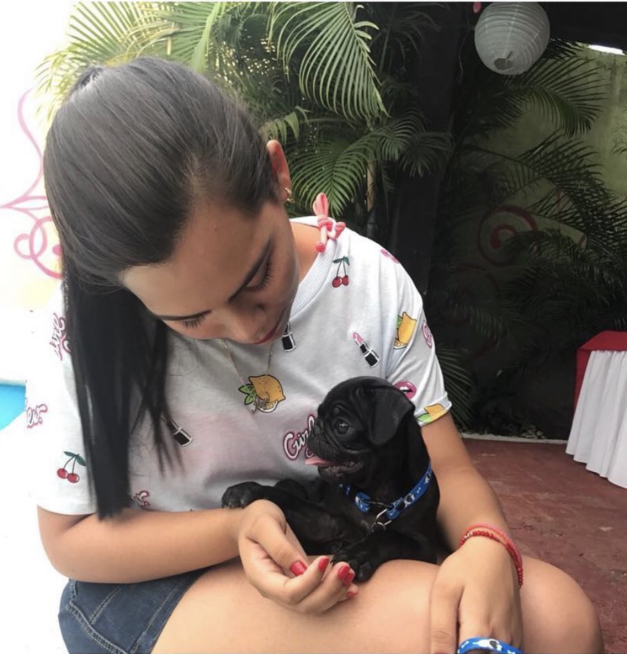 majolv9's tweet photo. No existen palabras suficientes para explicar todo el amor que te tengo, una parte de mi corazón se va contigo, fui muy afortunada de tenerte, nos dejas un gran vacío, la casa no será la misma sin tus ladridos, tus pucheros y el amor incondicional que nos dabas, te amare siempre https://t.co/84YpTOJZDi
