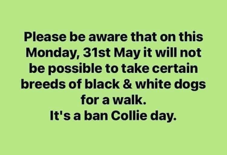 canine2fiveuk's tweet photo. #Boarding #Sitting #Walking #dogwalker #dogwalking #twickenham #stmargarets  #richmond #catsitting #catsitter #petservice #dogboarding #dog #cat #tw1 #tw2 #lovelocal #twickenhamdogs #stmargaretsdogs #richmonddogs #dogsoftwickenham #dogsofstmargarets #dogsofrichmond https://t.co/bxkXVLWLa6