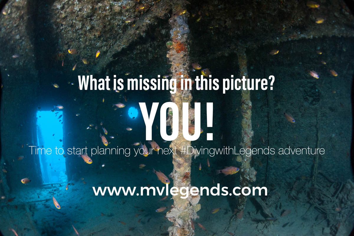 DivewithLegends's tweet photo. We don’t really think that this picture needs more of an explanation. Stop dreaming about a #DivingwithLegends holiday and start planning one!

Who can tell us the name of the wreck? https://t.co/c5OY93l07b