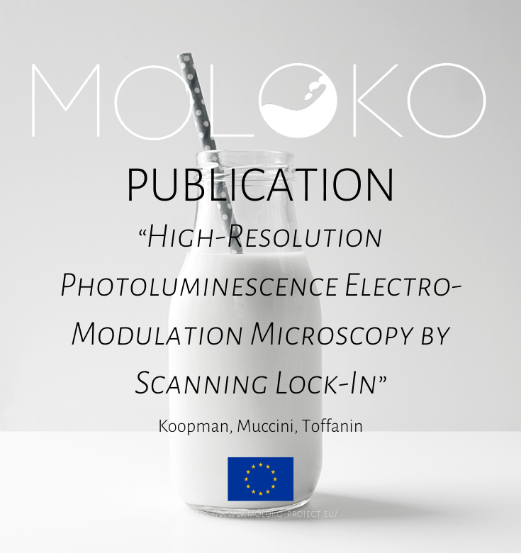 moloko_project photo