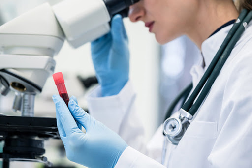 5top100's tweet photo. ITMO @spbifmo_en scientists will receive a grant from the Tyreman Group to process pork blood for protein and amino acids as a food supplement to feed animals. After studying all the data obtained, scientists plan to work on food supplements for humans. https://t.co/eYiMsgjT96