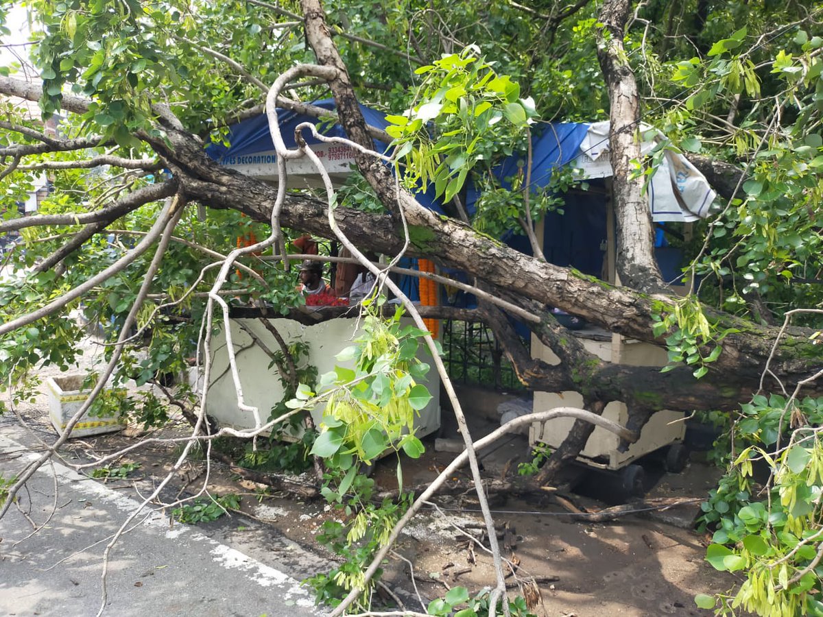 Jamshedpur Notified Area Committee on Twitter "टीम आज जाएगी…