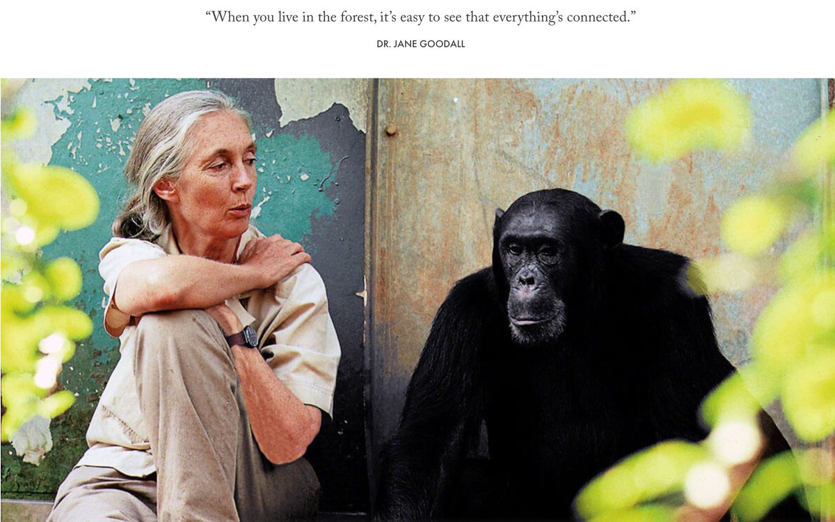 qinhan_zhou's tweet photo. Jane Goodall Institution (JGI)  proposed an approach that could improve the living of humans, animals, and the environment when they put a local community at the heart of conservation. (JGI)  JGI advanced nine strategies to drive Goodall's community method. #39canimals https://t.co/qorucY6k9w