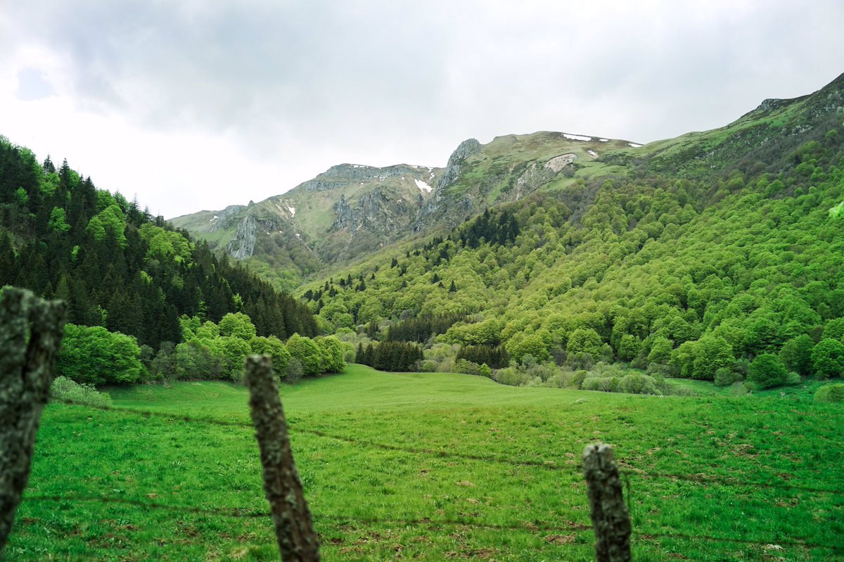 MikenzieTeela's tweet photo. Spent some time in the calming Valley of Chaudefour 🦌 #auvergne #clermontferrand #chaudefour https://t.co/ZRqmEK0crE