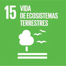 Flo18S's tweet photo. Crear nuevas formas de aprovechar los recursos naturales para obtener beneficios económicos como el turismo verde, nos permite conocer mejor nuestros recursos y disfrutarlos de una forma respetuosa. https://t.co/MBLpIBYcsX