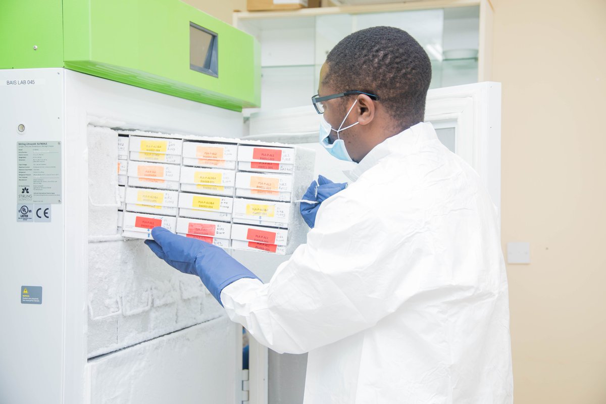 2020BaisV's tweet photo. The BAIS V central lab is located at the Botswana Harvard HIV Reference Lab in Gaborone. There are also five satellite labs located across Botswana that ship specimens to the central lab. #Botswana  
@Ciheb_UMB @CDCgov @OfficialBummhi @statsbots https://t.co/S01g1OAbrr