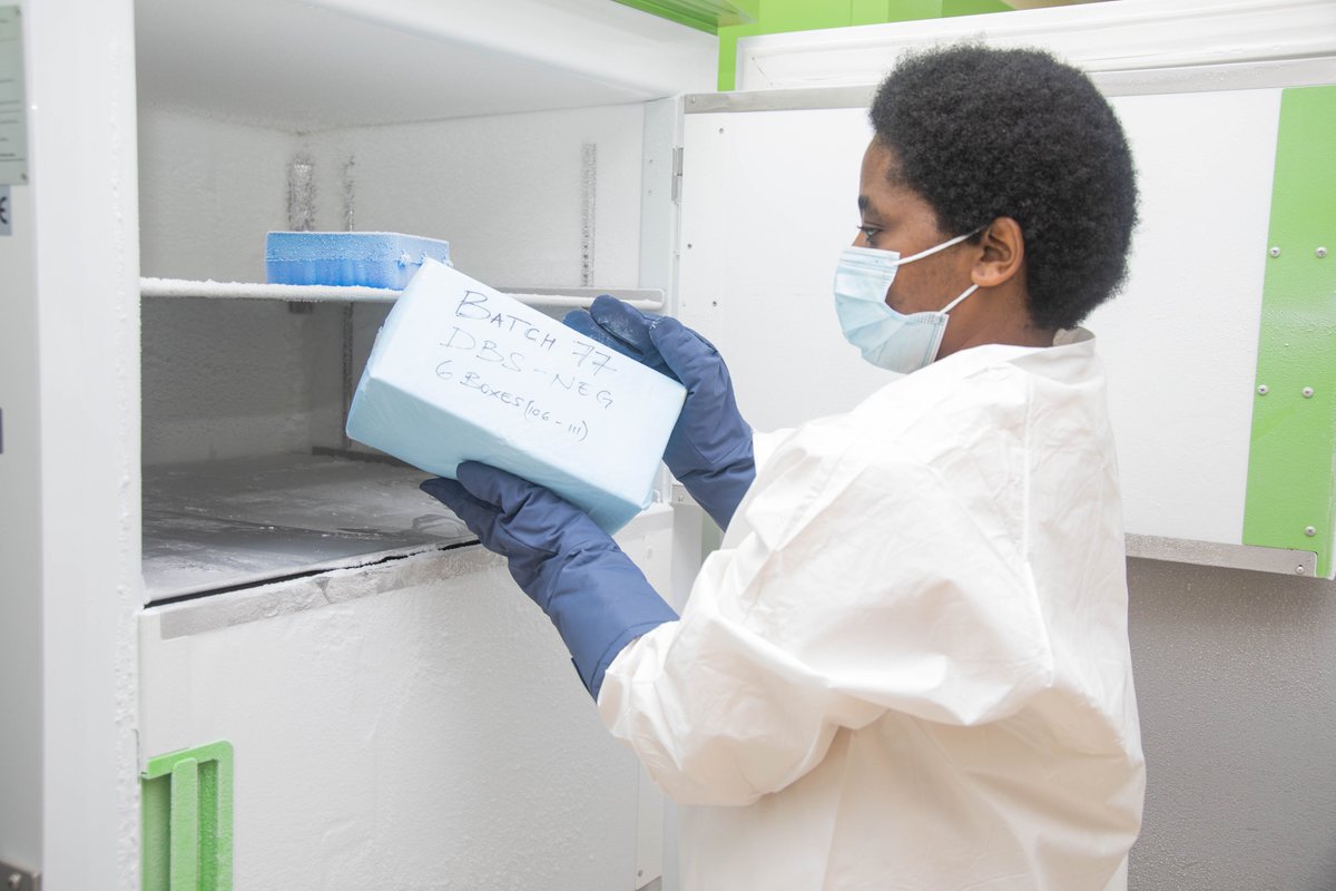 2020BaisV's tweet photo. The BAIS V central lab is located at the Botswana Harvard HIV Reference Lab in Gaborone. There are also five satellite labs located across Botswana that ship specimens to the central lab. #Botswana  
@Ciheb_UMB @CDCgov @OfficialBummhi @statsbots https://t.co/S01g1OAbrr